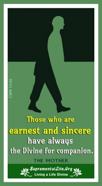 Divine for Companion.jpg